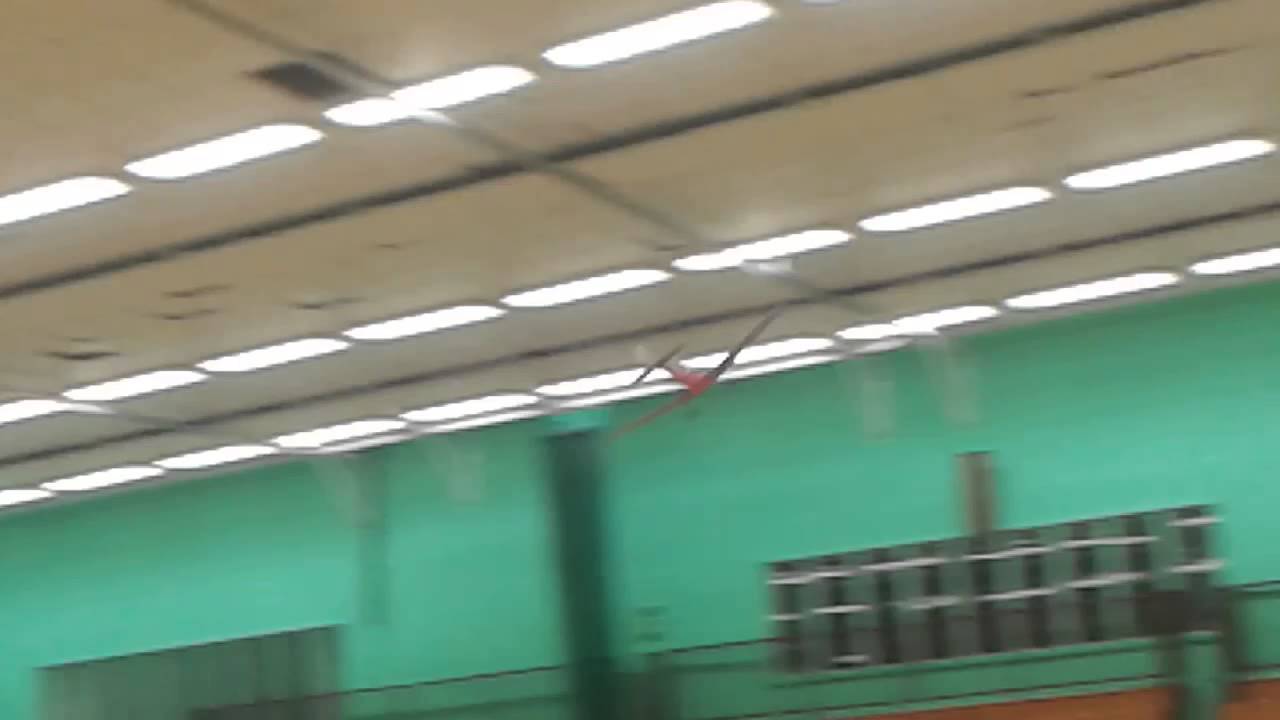 Dart Kitten 2nd video, Jon, Bushfield 5th Jan 2014