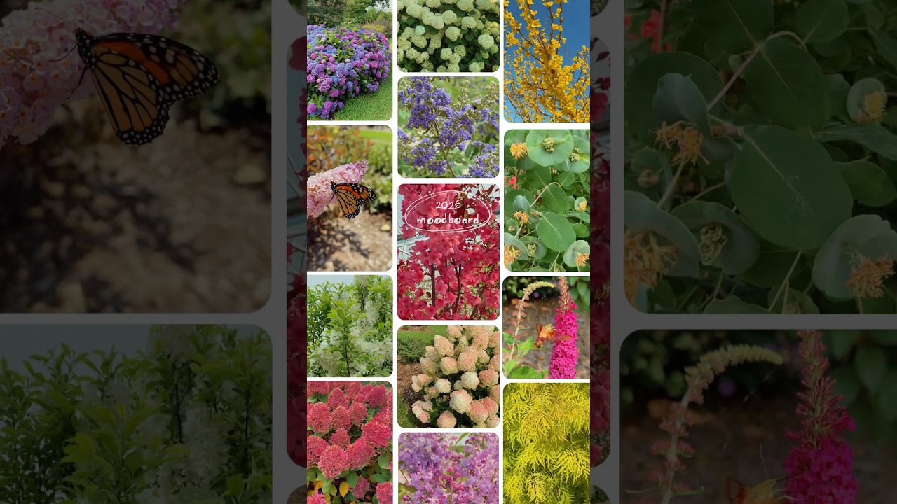 #2026 vision board💐 We&rsquo;re excited to see what this year holds and to garden with you!