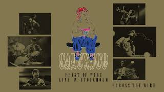 Calexico - Across The Wire (Live at China Theatre Stockholm, 25.04.2003)
