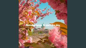 Exciting Backdrops for Brave Keynotes