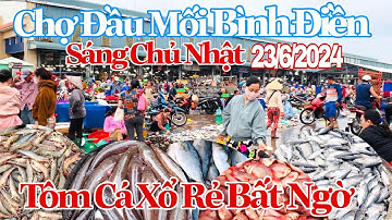 Sáng Chủ Nhật Tôm Cá Xổ Rẻ Bất Ngờ - Chợ Đầu Mối Bình Điền | 23/6/2024