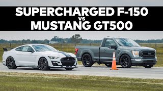 Supercharged 2021 F-150 vs GT500 DRAG RACE! \/\/ VENOM 775 by Hennessey