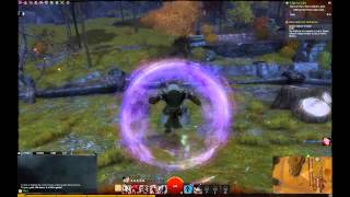 GW2 Record and Render test