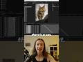 This #Premiere hack has everything: tips to bulk-change clips, an #AfterEffects bonus, and cats.