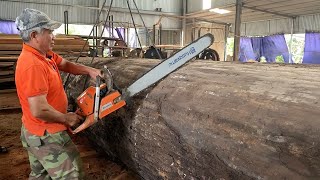 The Art of Wood Processing: From Tree to Finished Product