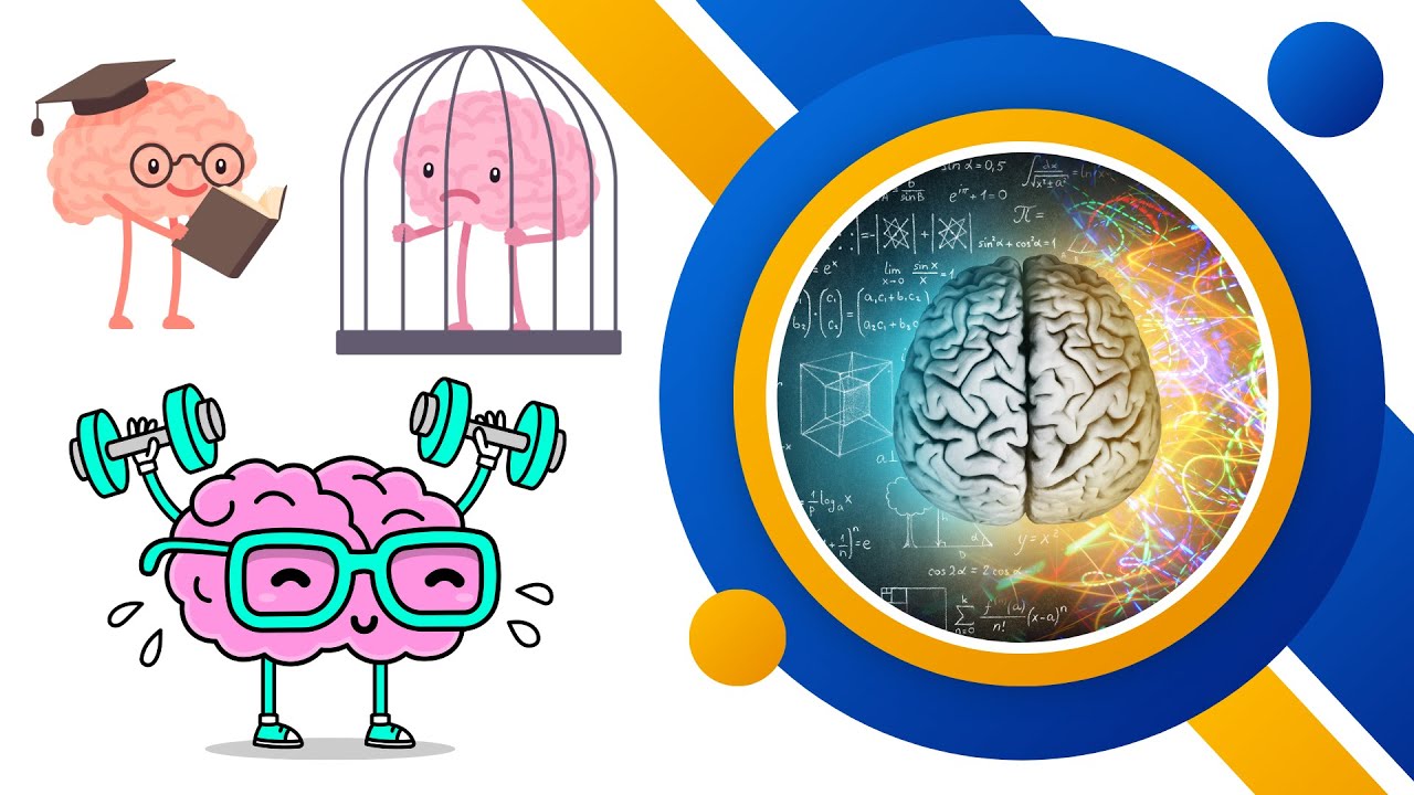 أربع دراسات تثبت أن دماغ مدمن الاباحية يمكنه أن يعود طبيعيا كما كان قبل الادمان