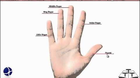 Getting started with Tux Typing - Punjabi