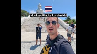 Monkey Attacks Russian Kid In Phuket, Thailand