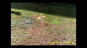 Walkera V120D02S tic toc practice II