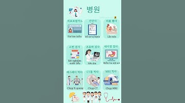 Từ Vựng Tiếng Hàn Chủ Đề Y Tế, Bệnh Viện #koreanhangul #learnkorean