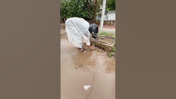 Remove Trash Clogged Drain  #culverts #unclog #remove #uncloggingdrains #shorts