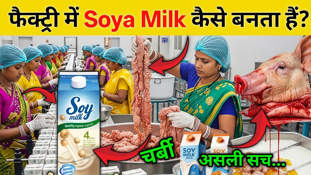 फैक्ट्री में Soya Milk कैसे बनता है? 🥛😱 | Soya Milk Manufacturing Process | Soya Milk Factory Inside