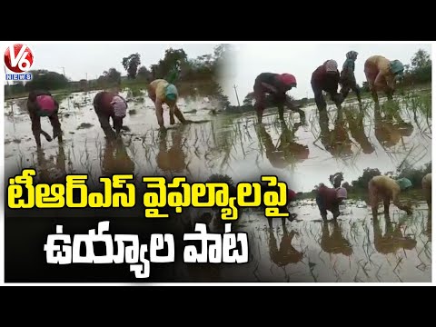 Farmers Singing A Song On TS Government While Doing Agriculture Works | Viral Video | V6 News - V6NEWSTELUGU