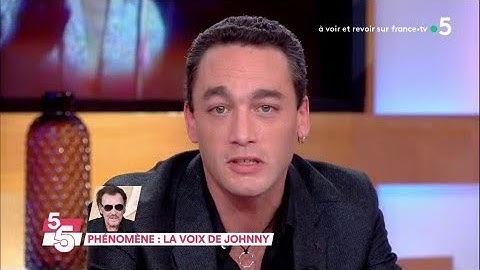 Phénomène : la voix de Johnny - C à Vous - 30/01/2018