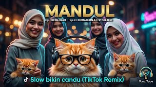 Download lagu 🎧 INFERTILE - Rhoma Irama (Slow Addictive Remix) - Yanz Tube