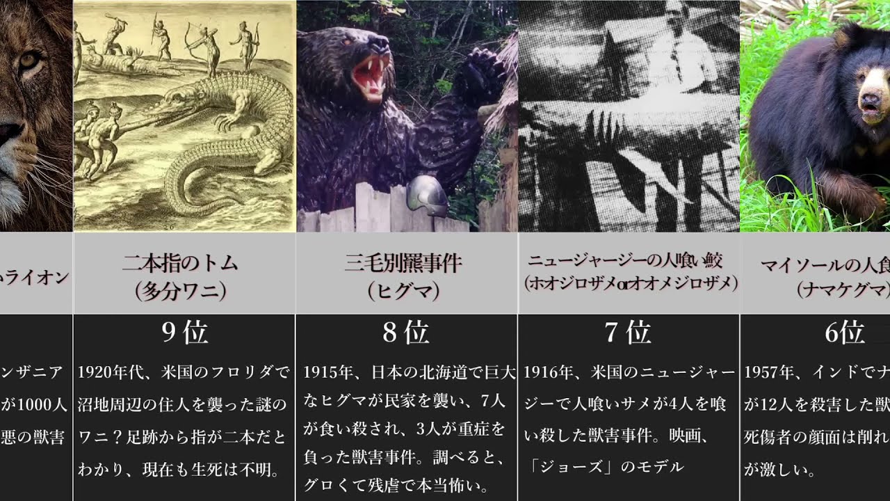 グロすぎる獣害事件ランキング Youtube