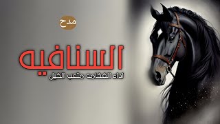 جديد شيلة مدح السنافيه \ اداء الفخامه متعب الخيل 2024 حماسيه