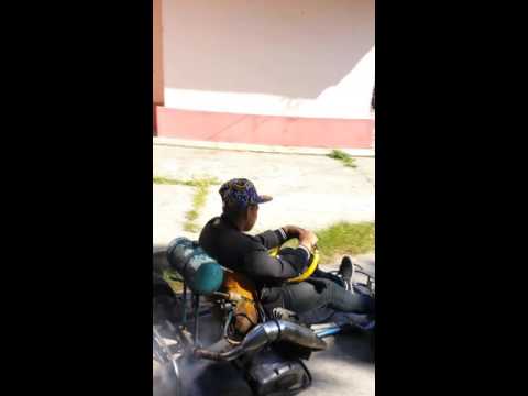 Cel mai batran