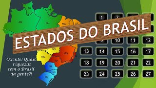 🏜🏖🇧🇷 JOGO DOS ESTADOS DO BRASIL 🏜🏖🇧🇷 screenshot 5