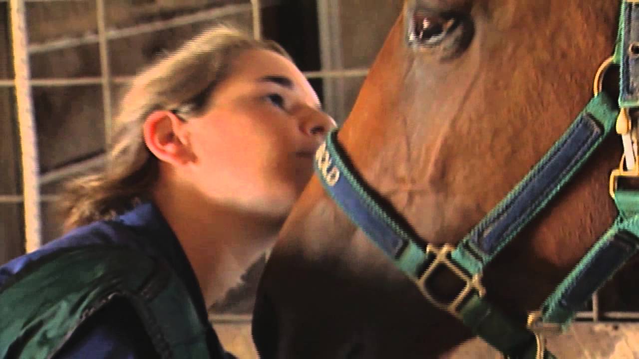 Vet Students in the Real World - YouTube