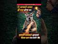MOST DANGEROUS KANGAARU😱