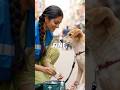 इंसानियत आज भी जिंदा है! 🥰 #Rescue #AnimalRescue #Humanity #shorts