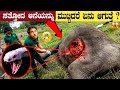    most interesting and amazing facts in kannada  unknown facts  think forever