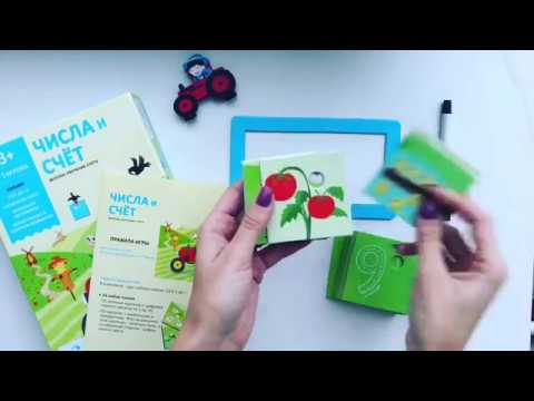 Настольная игра Chalk and chukles "Числа и счет"
