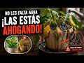 CUIDADO! LAS ESTAS AHOGANDO!