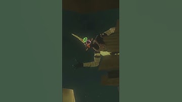 Link POV (The Legend of Zelda: Breath of the Wild)