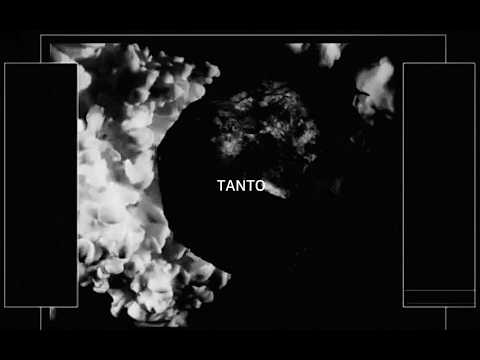 SKYFIVE - TANTO (Visualizer)