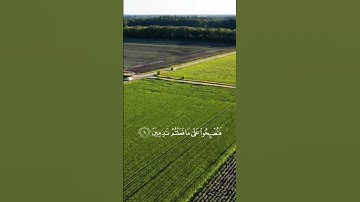 تلاوة_عذبة |عبدالرحمن السديس. 🌷#اكسبلور#قرآن #cat #قران_كريم