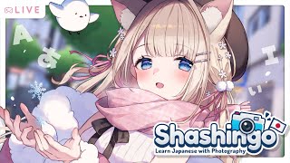 Shashingo ┊ Teach you Japanese! Teach me English? Learn together with game!