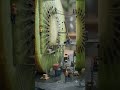 Kiwi Underground Settlement Build — Miniature Construction Colony Inside a Giant Kiwi