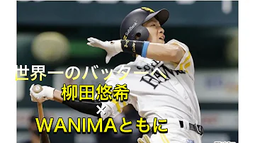 柳田悠岐 WANIMAともに 