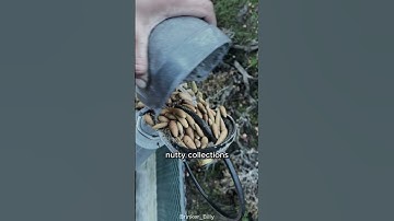 This man found a hidden treasure 😮😮 #shorts