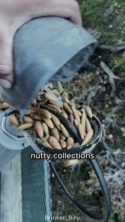 This man found a hidden treasure 😮😮 #shorts