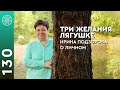 Три желания лягушке. Духовная гордыня, развитие и приоритеты.