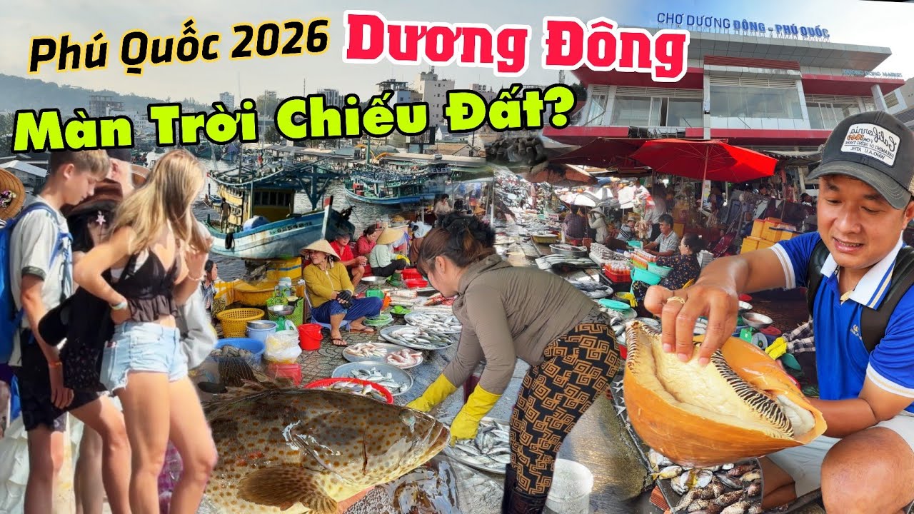 Hồi hộp đi Chợ Dương Đông Phú Quốc giá hải sản mắc hay Rẻ tết 2026? 