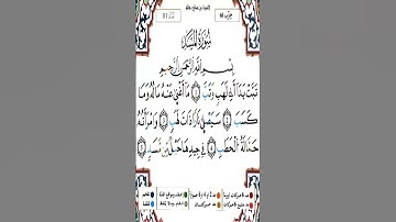 Sourate Al-Masad | Yassin Al-Jazairi (111) سورة المسد | ياسين الجزائري