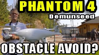 DJI Phantom 4 -vs- Big Ass Tree! - Demunseed