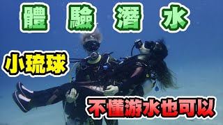 小琉球體驗潛水與海龜開心暢遊！小琉球一日遊！台南之旅Day3【Y人】