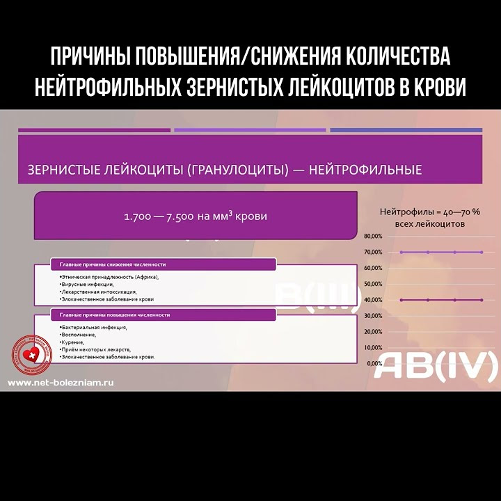 Снижение количества нейтрофилов. Палочковидный нейтрофилы. Снижение количества нейтрофилов. Сегментоядерные относительные 73 могут повыситься от стресса. Нейтрофил в форме сердца.
