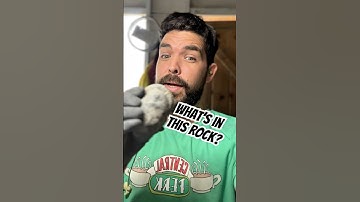 I Found Something INCREDIBLE #fossilhunting #fossil #geology #whitbyfossils