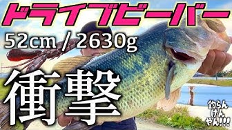 釣らんけんやん Youtube