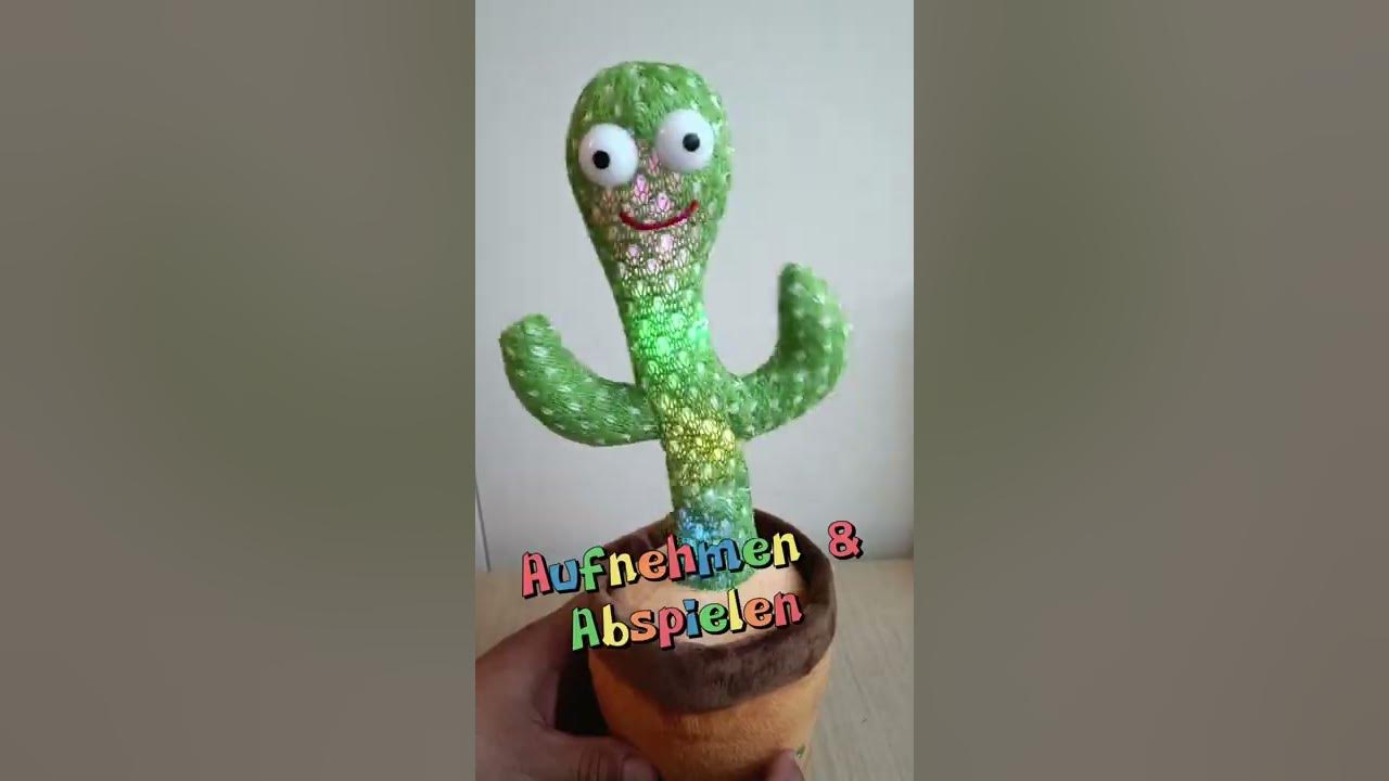 Dancing Cactus Song  Tanzender Kaktus von TikTok 