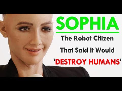 Meet Robot: The