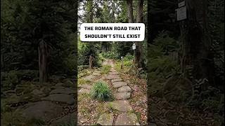 FORGOTTEN EARTH — THE FORGOTTEN “ROMAN ROAD” HIDDEN IN A FRENCH FOREST FORGOTTEN EARTH — THE FORGOTTEN “ROMAN ROAD” HIDDEN IN A FRENCH FOREST