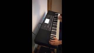 Reci Caso Sinan Sakic I Juzni Vetar Instrumental Cover Korg Pa600