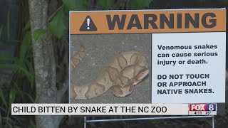 Child bit by copperhead snake at North Carolina Zoo in Asheboro